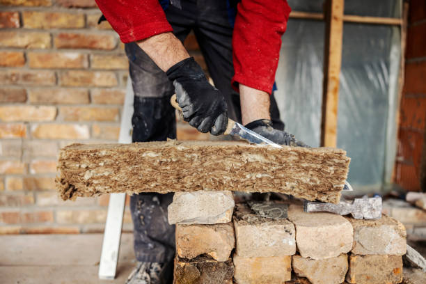 Best Residential Insulation Services  in Brookridge, FL